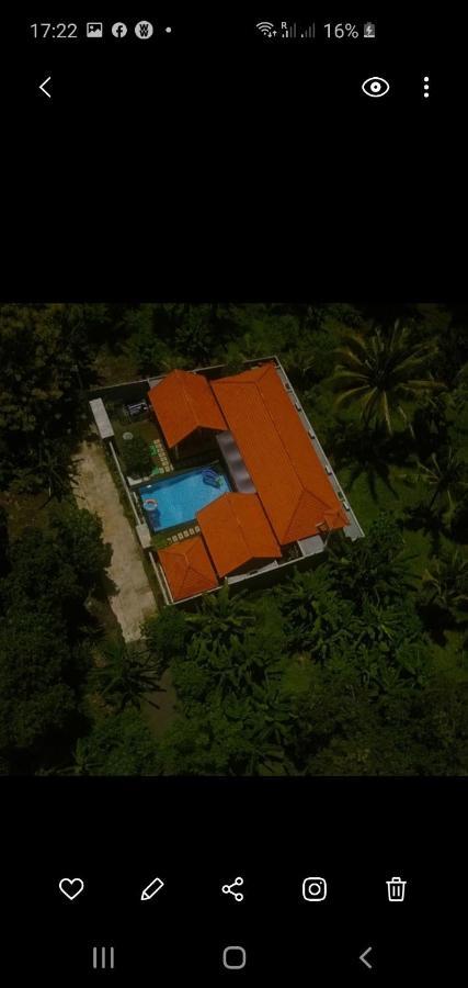 Hotel Mias Jungle House à Lovina Beach Extérieur photo