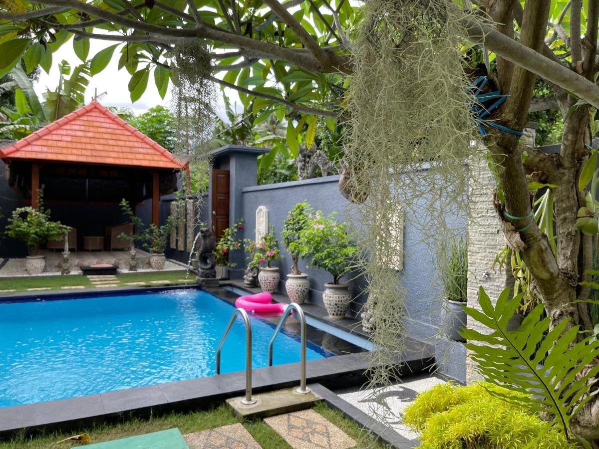 Hotel Mias Jungle House à Lovina Beach Extérieur photo
